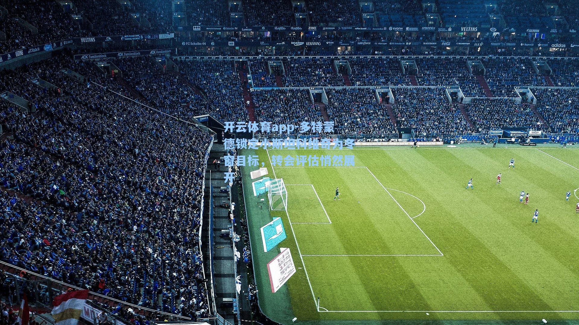 多特蒙德锁定小斯坦科维奇为冬窗目标，转会评估悄然展开